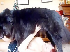 Elisa fucked by his dog